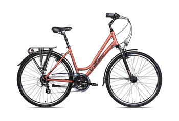 ROWER UNIBIKE VISION LADY 17" CORAL